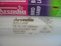 neon_arcadia_true_light_2.webp