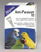 Anti parasite old.webp