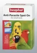 Anti parasite.webp