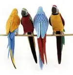 4PARROTS.webp