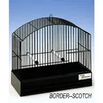 border-scoths.webp