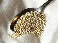 quinoa.webp