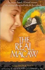 The-Real-Macaw.webp