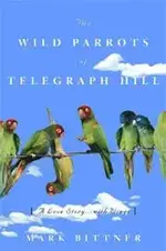 wild-parrots-of-Telegraph-Hill.webp