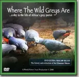 DVD-WhereTheWildGreysAre1.webp