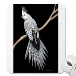 whitefaced_pearl_cockatiel_mousepad-p144032867158727629trak_400.webp