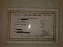 certificate.webp