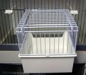 baby cage 1.webp