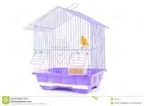 canary cage.webp