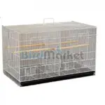 birdmarket3-500x500.webp