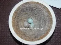 eggs coulorised 03.webp