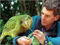 kakapo.webp