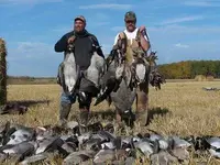 birdHuntingLarge.webp