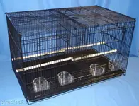 finch cage.webp