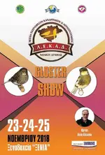 9ος-ΛΕΚΑΔ-Gloster-Show.webp