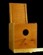 cockatiel-nestbox2.webp