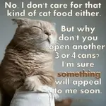 no-i-dont-care-for-that-kind-of-cat-food-55461240.webp