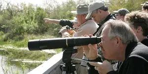 Birdwatching - παρατήρηση πουλιών