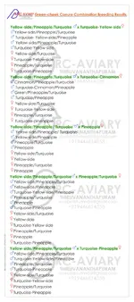 Green-cheek Conure Combination Breeding Results By akhilchandrika (3).webp