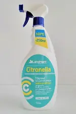 citronella.webp