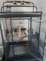 My cage.webp