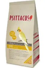 psittacus-cockatiel.webp