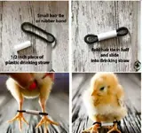 fix-splayed-baby-chick-legs-with-hair-band-and-straw.webp