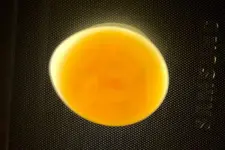 2egg.webp