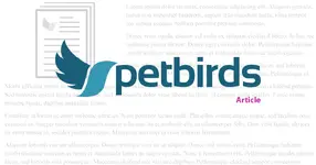 petbirds-article.webp