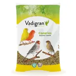 vadigran-canaries-breeder-plus.webp