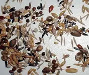 Blattner European Goldfinch Seed Mix.webp