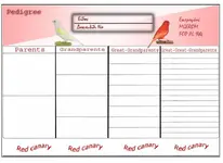 pedigree Red-canary- copy.webp