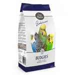 birdelicious-budgies.webp