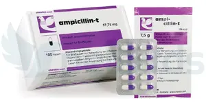 Ampicillin-t _Chevita.webp