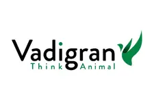 vadigran.webp