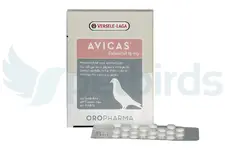 Avicas.webp