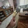 TasosG