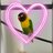 Nancylovebird