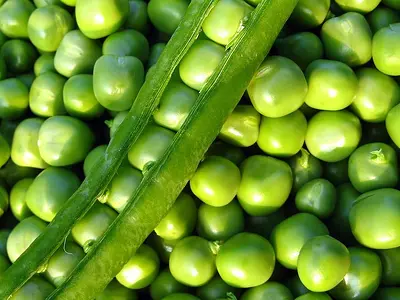 Μπιζέλια - Αρακάς - Peas (Pisum sativum)