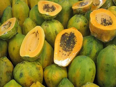 Photo: Παπάγια - Papaya (Carica papaya)