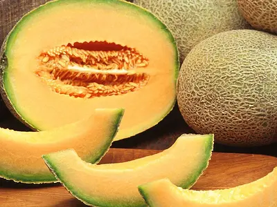 Πεπόνι - Melon (Cucumis melo)