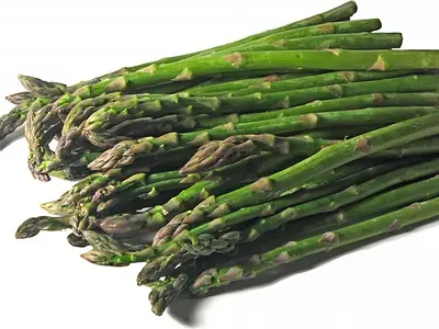 Σπαράγγια (Asparagus officinalis)