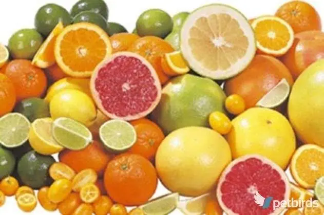 Εσπεριδοειδή (Citrus)