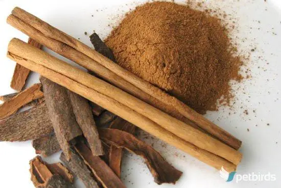 Κανέλα Κεϋλάνης (Cinnamomum verum)