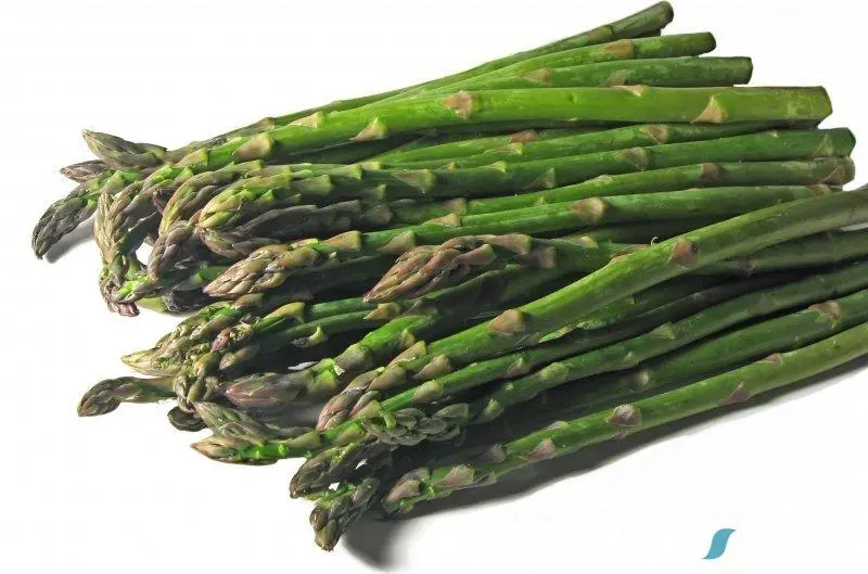 Σπαράγγια (Asparagus officinalis)