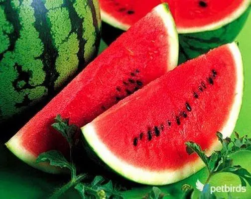 Photo: Καρπούζι - Watermelon (Citrullus lanatus)