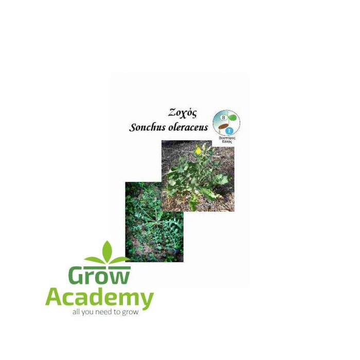 growacademy.eu