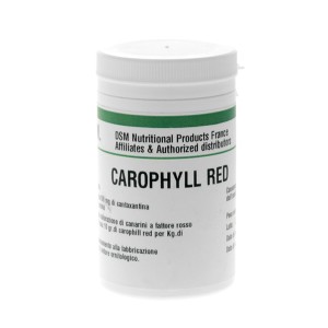 carophyll-red.jpg