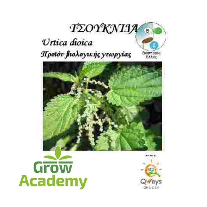 growacademy.eu